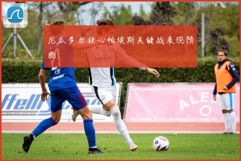 厄瓜多尔核心帕埃斯关键战表现预测