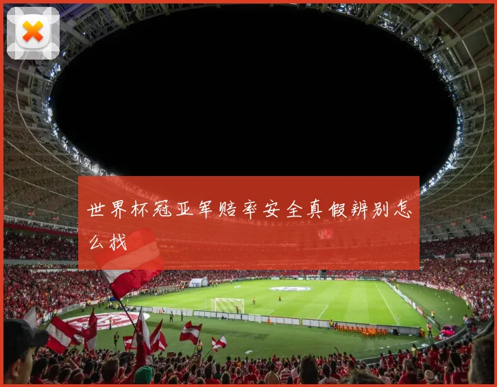 世界杯冠亚军赔率安全真假辨别怎么找