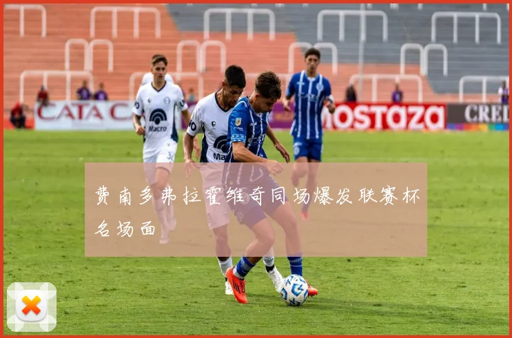 费南多弗拉霍维奇同场爆发联赛杯名场面