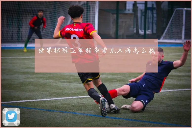 世界杯冠亚军赔率常见术语怎么找