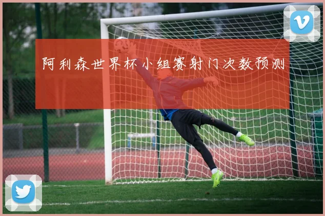 阿利森世界杯小组赛射门次数预测