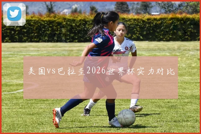 美国vs巴拉圭2026世界杯实力对比