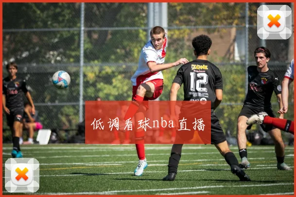 低调看球nba直播