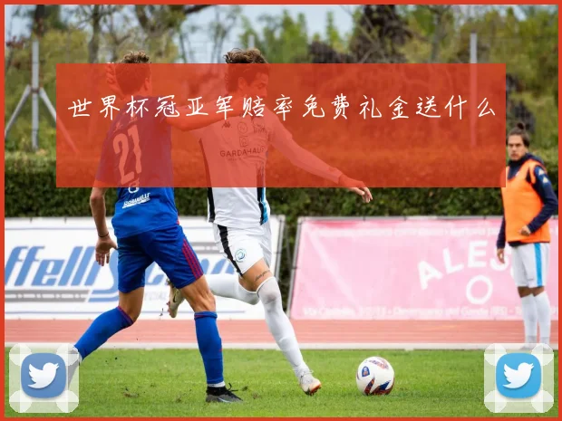 世界杯冠亚军赔率免费礼金送什么
