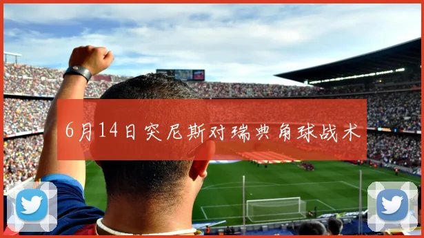 6月14日突尼斯对瑞典角球战术